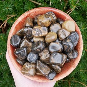 (2) Tumbled Cherry Creek Jasper Stones